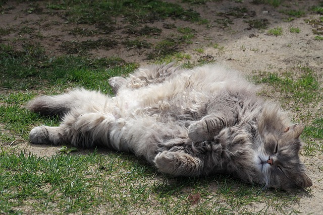 Jennifer Villanueva tweet media