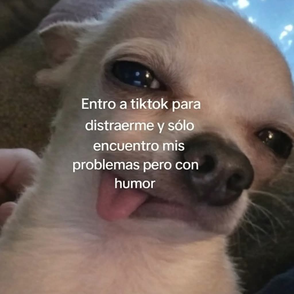 bauldefrases tweet media