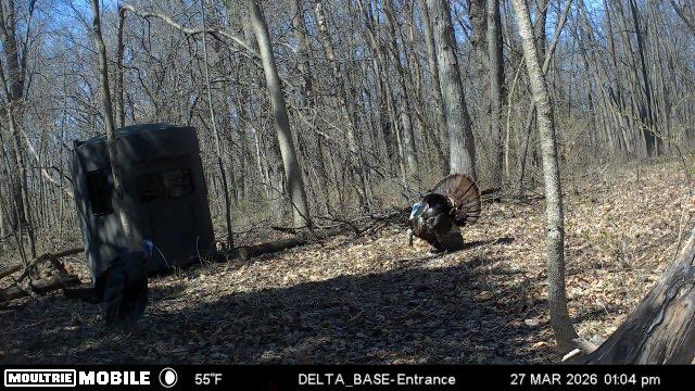 LFnFL 🦌🦃🏹🏈 🍢🌶️ tweet media