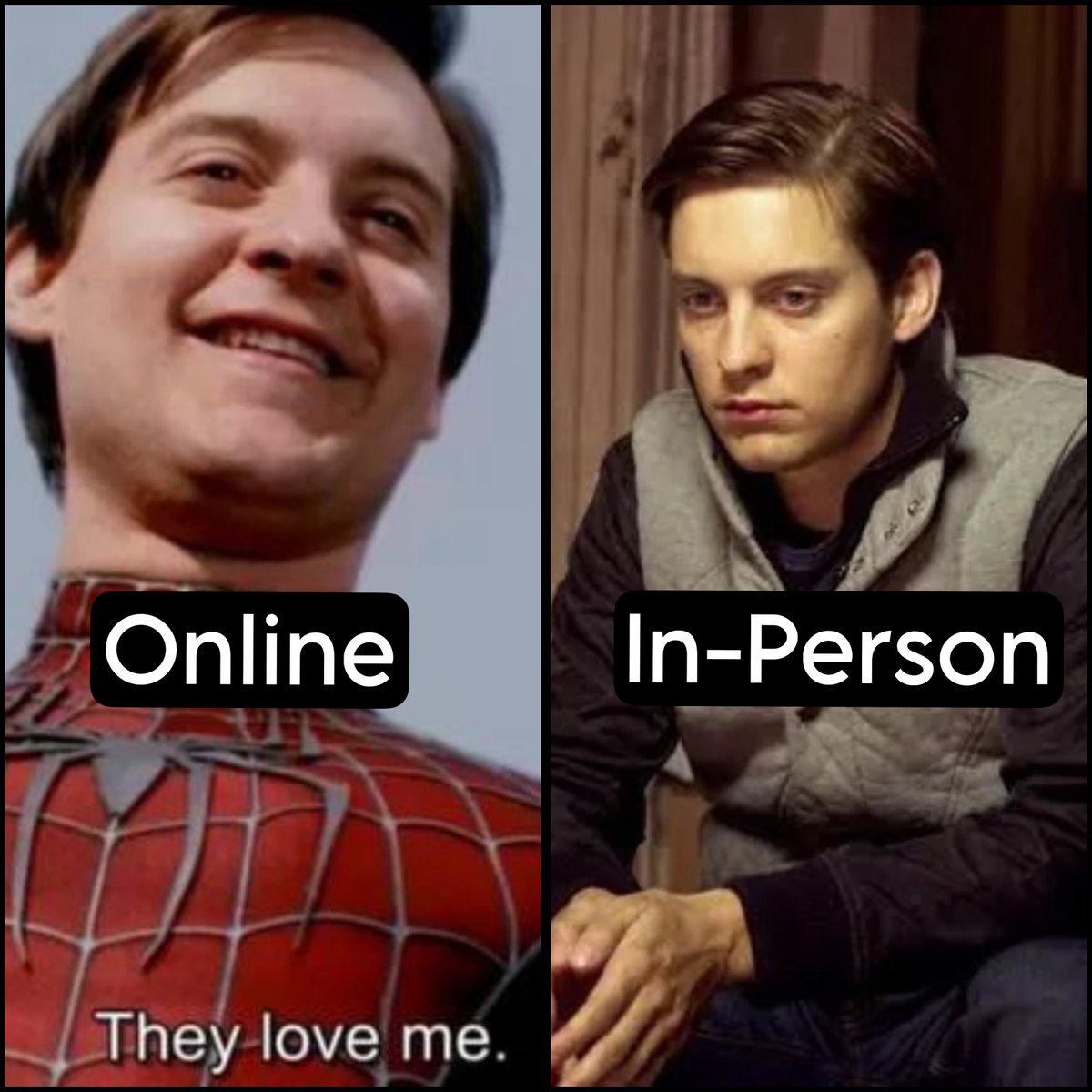 Matt 🕸️ tweet media