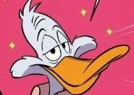 Amy 🍉 tweet media