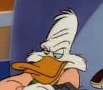 Amy 🍉 tweet media