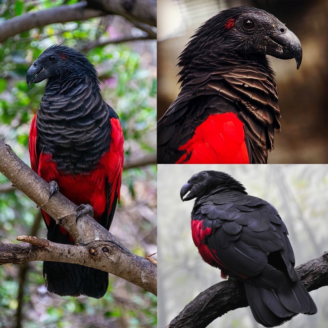 MHA Yeni Sayfa tweet media