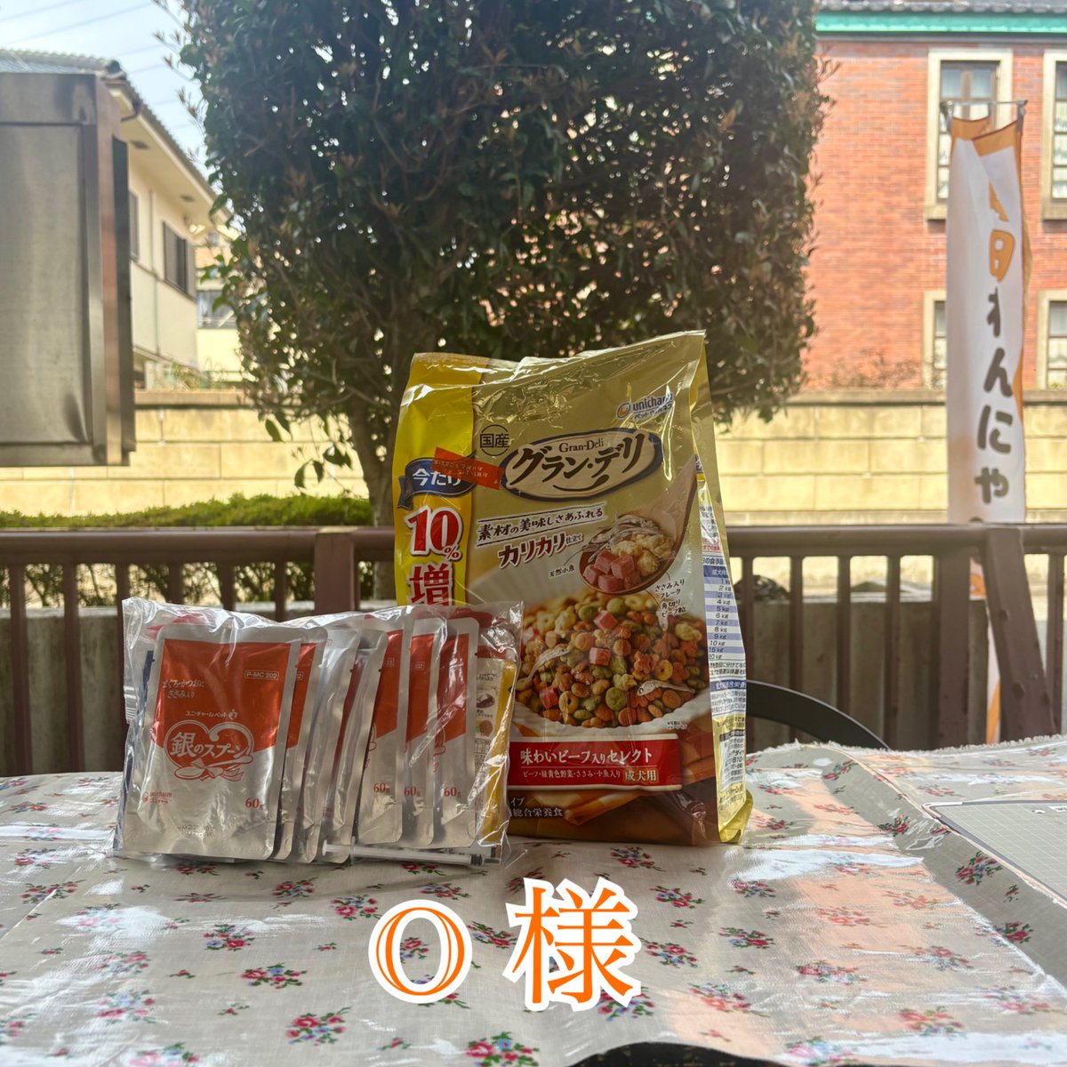 町田動物愛護の会 tweet media