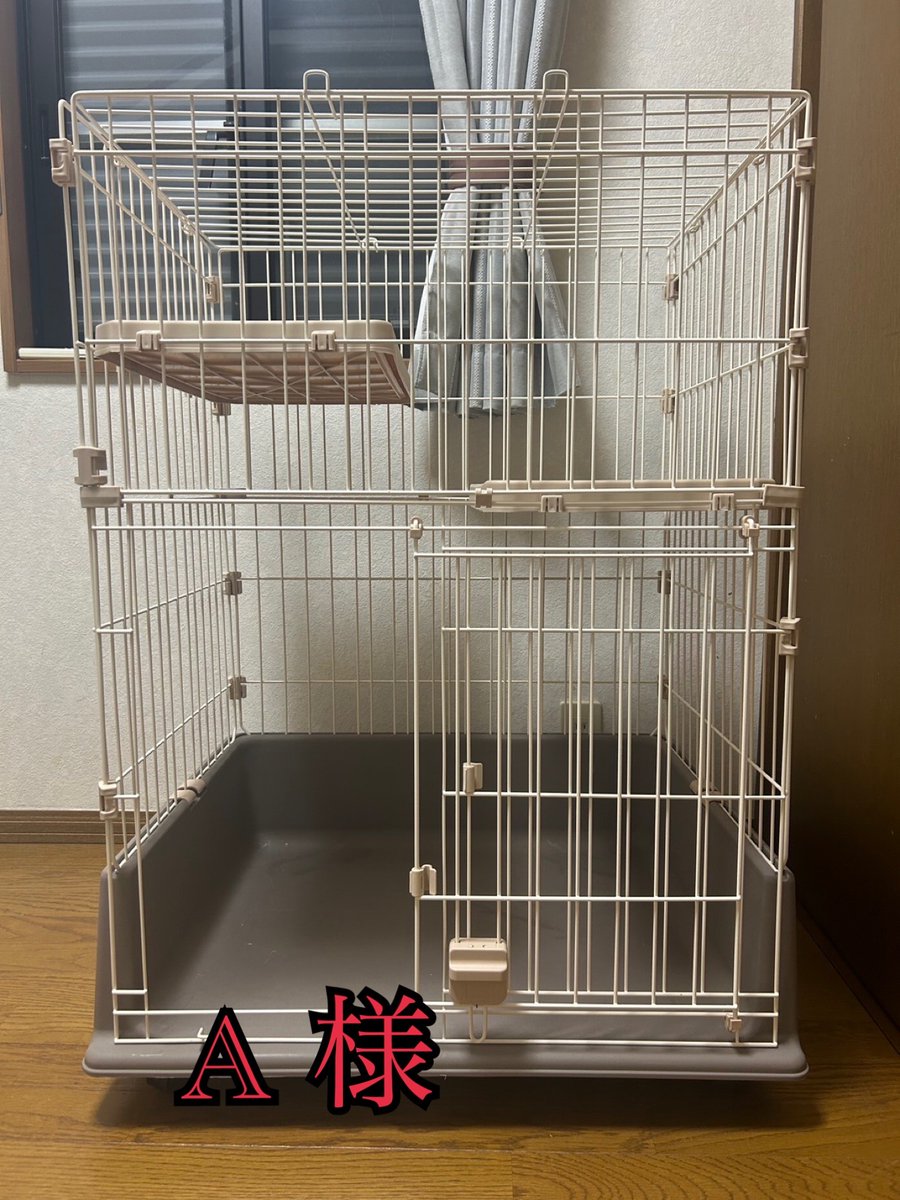 町田動物愛護の会 tweet media