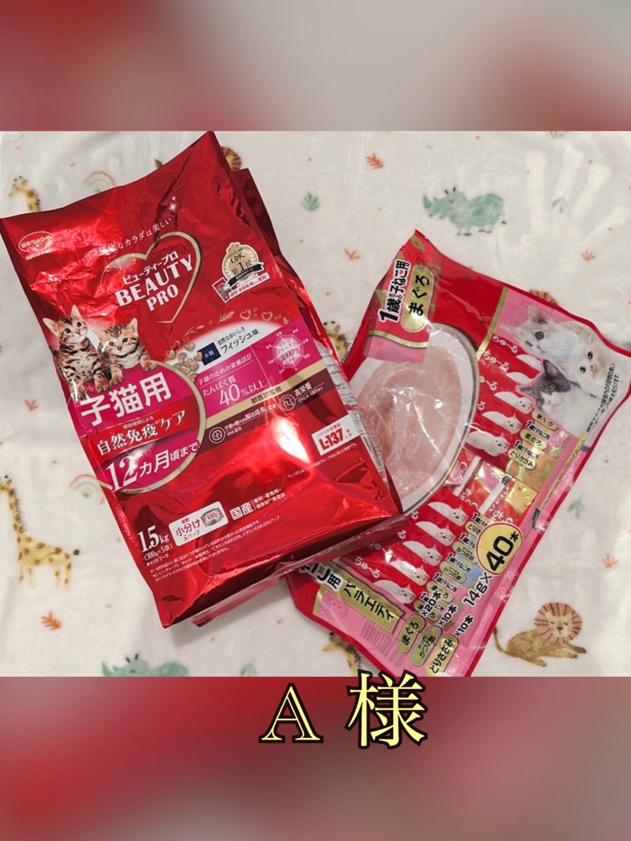 町田動物愛護の会 tweet media