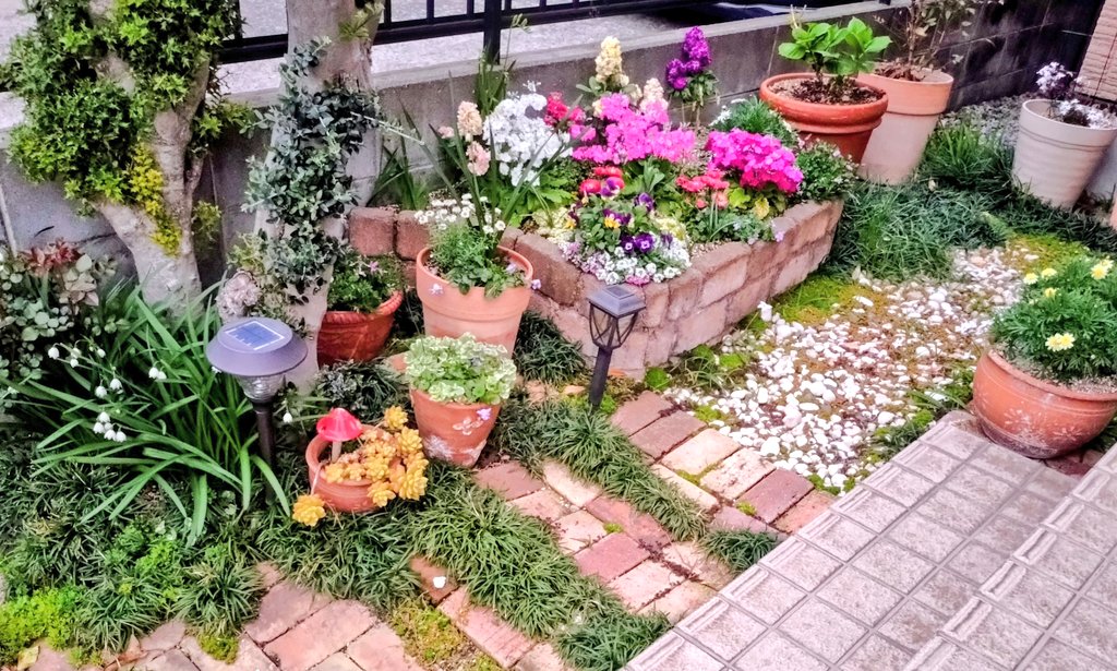 おはようございます☔
昨日はホンマに暑かった
今日半袖にすべきか？と思ってましたけど10℃下がるって😲なので‥やはり長袖
お仕事頑張りますか〜
玄関横の花壇春らしくなってきました😊
スズラン良き