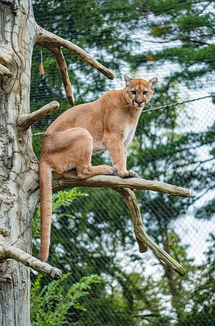 Brenda Nguyen tweet media