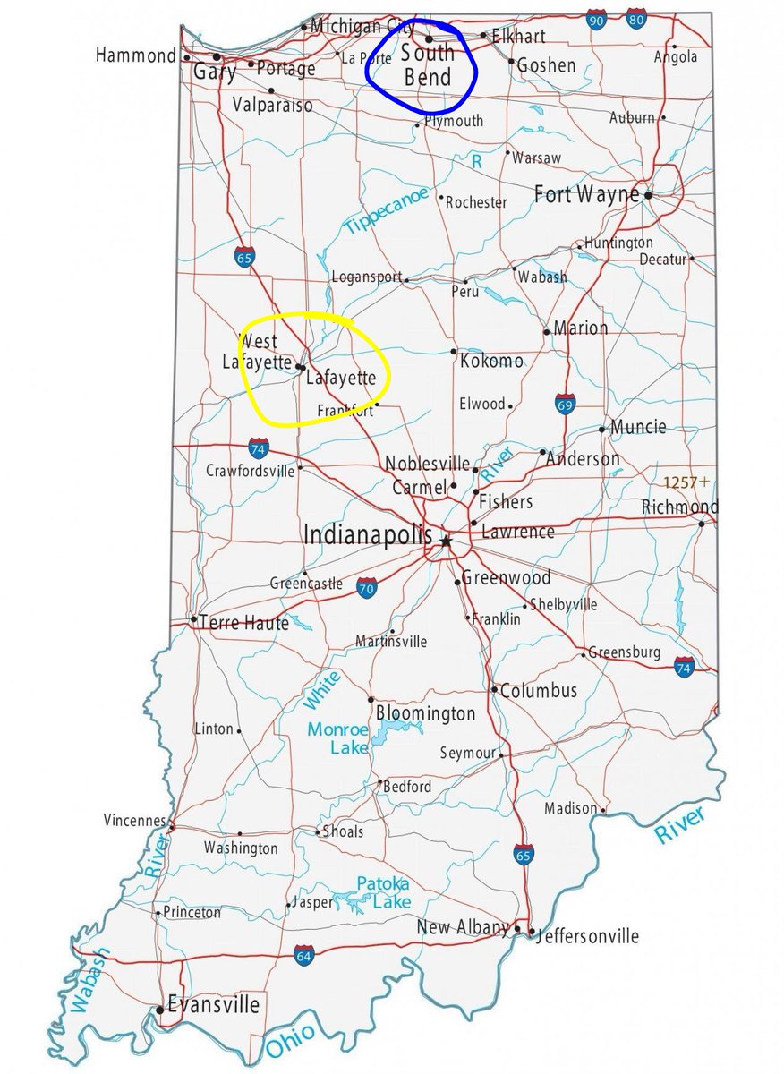 ringo: version 🔞 tweet media