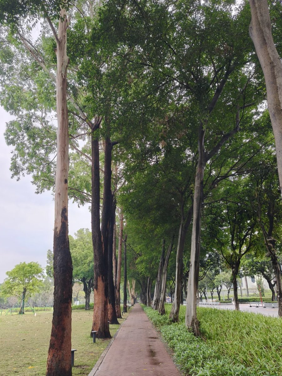 Yuki（互fo互赞） tweet media