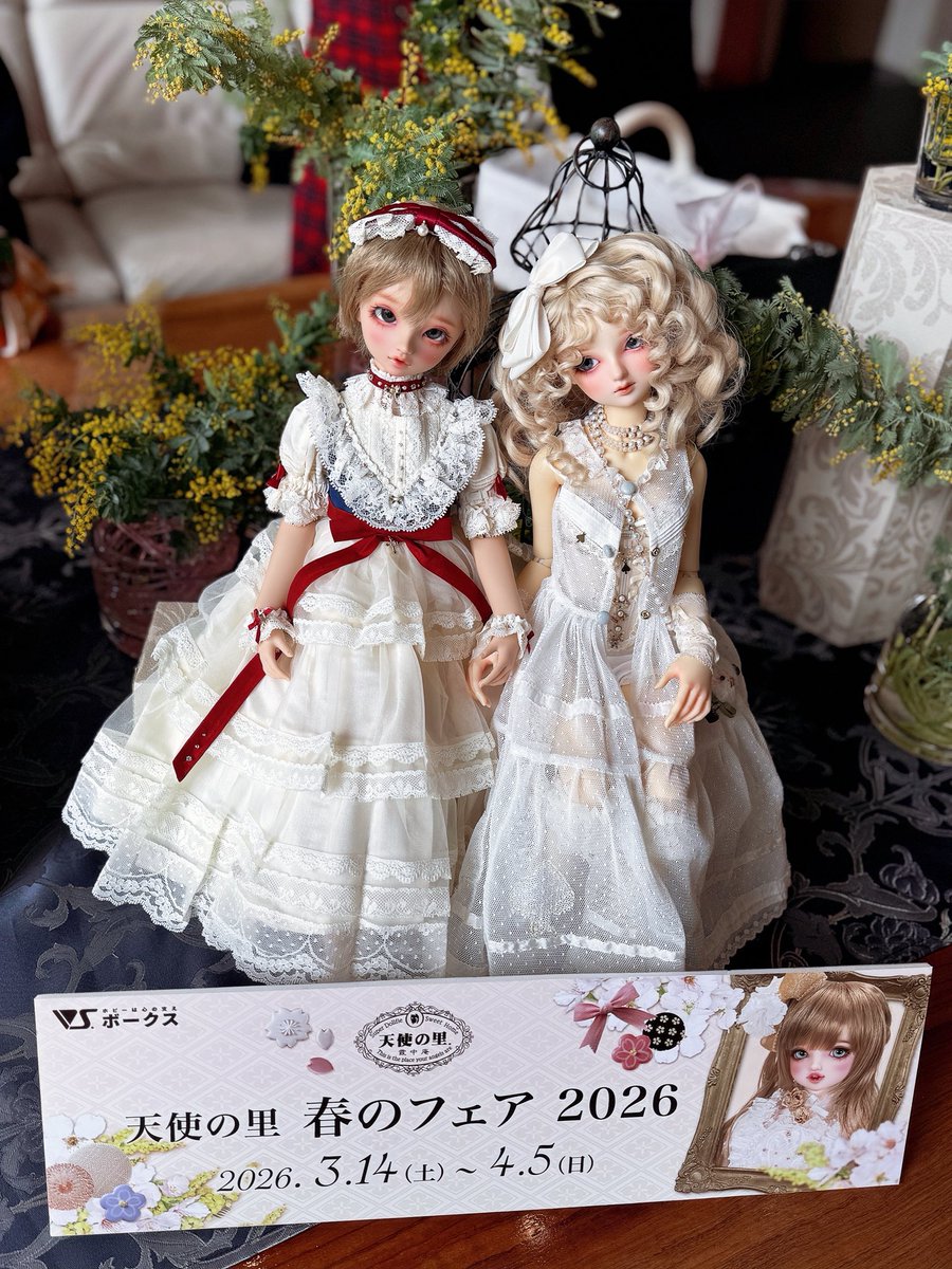 𝓜𝓪𝓴𝓸𝓽𝓸 🥯マコト tweet media