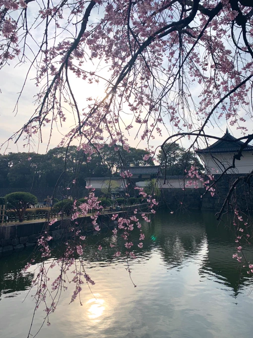 先日の