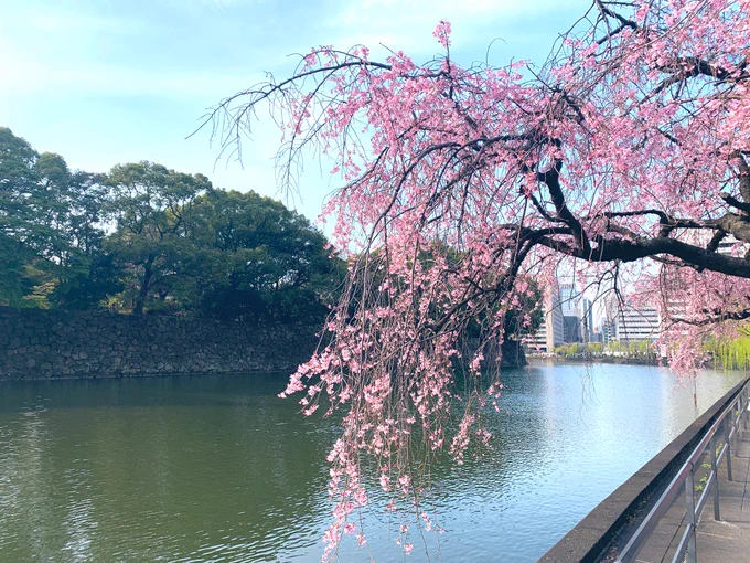 先日の