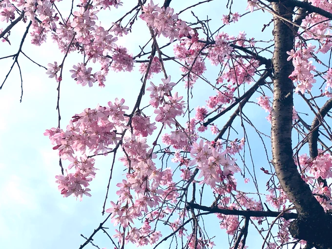 先日の