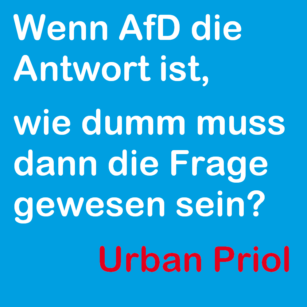 einPirol tweet media