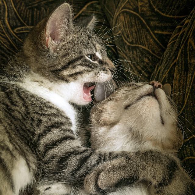 Donald Tucker tweet media