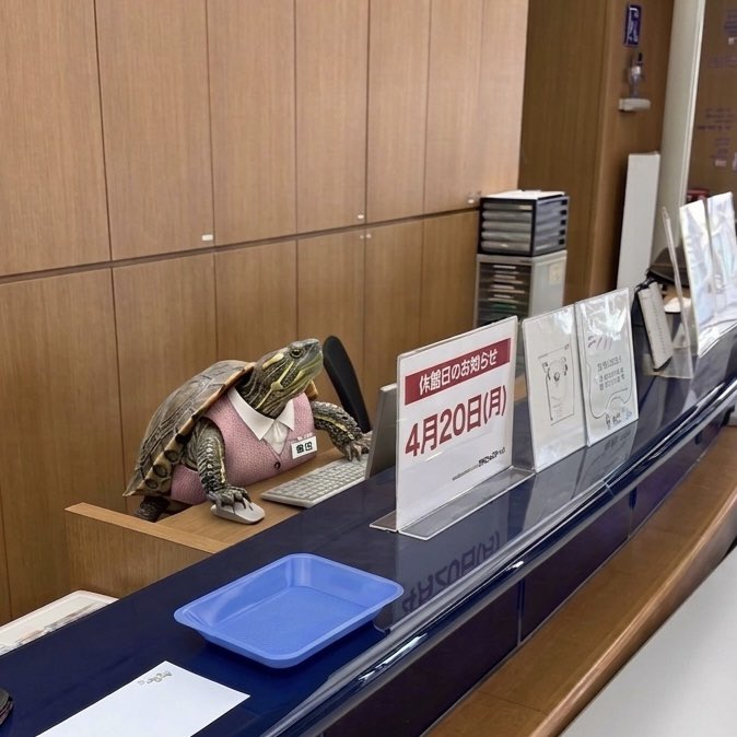 かなっくホール【公式】 tweet media