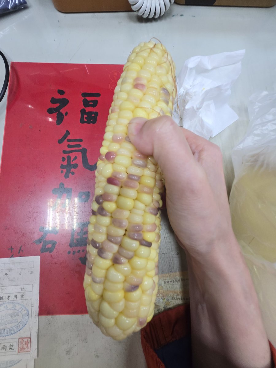 長大以後才叛逆💙💛 tweet media