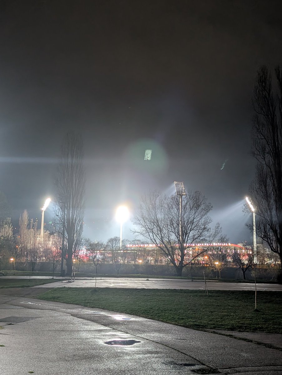 Saša Ibrulj tweet media