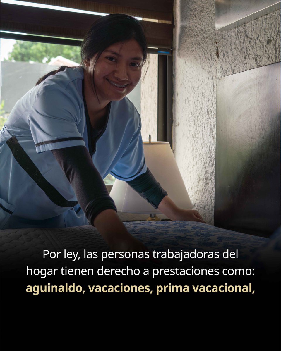 STPS_mx's tweet photo. Persona #TrabajadoraDelHogar, la #LFT establece que tu empleador o empleadora debe garantizarte condiciones de trabajo dignas y seguras.

👉🏾 Desliza para conocer tus prestaciones laborales y hacer valer tus derechos. https://t.co/xDeXca7Bi6