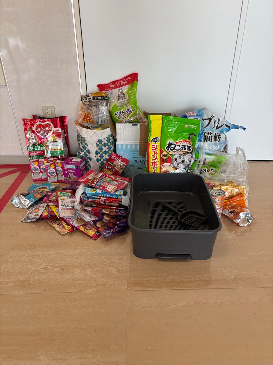 町田動物愛護の会 tweet media