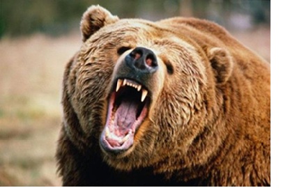 EVFtwit2021's tweet photo. 元環境省の中野 喜美様に「クマ被害対策の現在地～我が国の野生生物保護管理制度の歴史を踏まえて」をご講演いただきます。
チラシ：https://t.co/LxMuHqnCz1
講演日：2026年4月23日（木）14:30～ ＠新宿NPO協働推進センター
申込締切：4月19日
申込先：https://t.co/a34eVCbLAs
#熊
#害獣 https://t.co/cnvleomrkK
