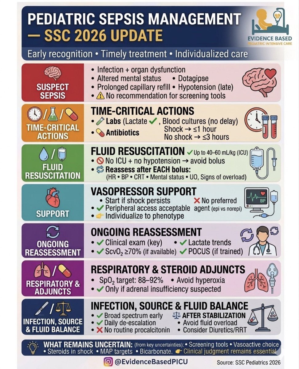 Vanessa S. Lanziotti tweet media