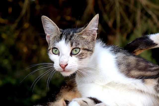 Brad Douglas tweet media