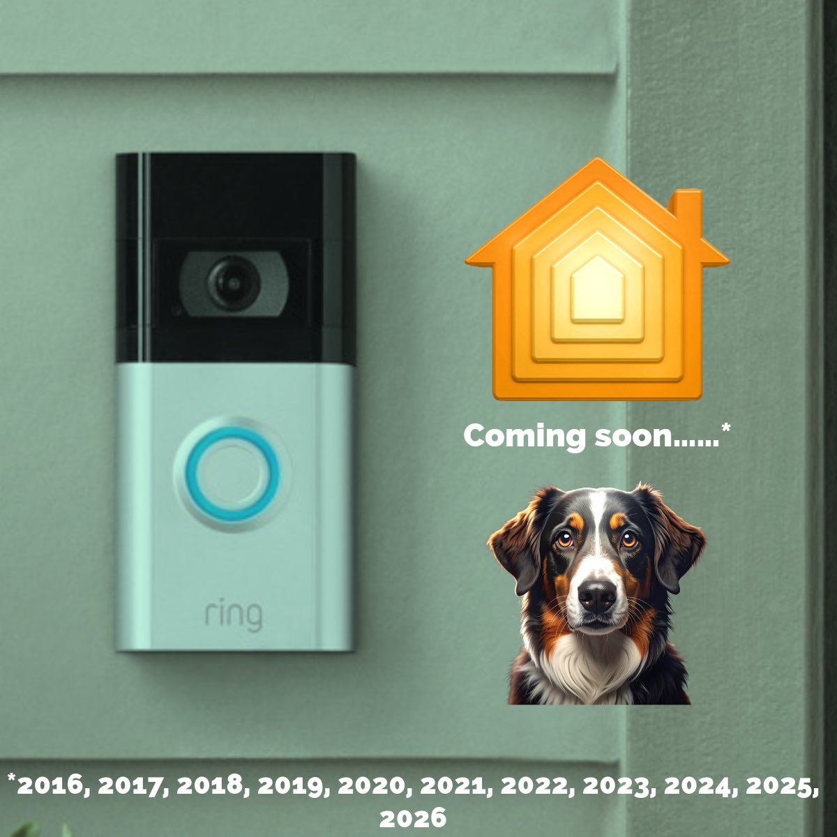 Apple Home Authority tweet media