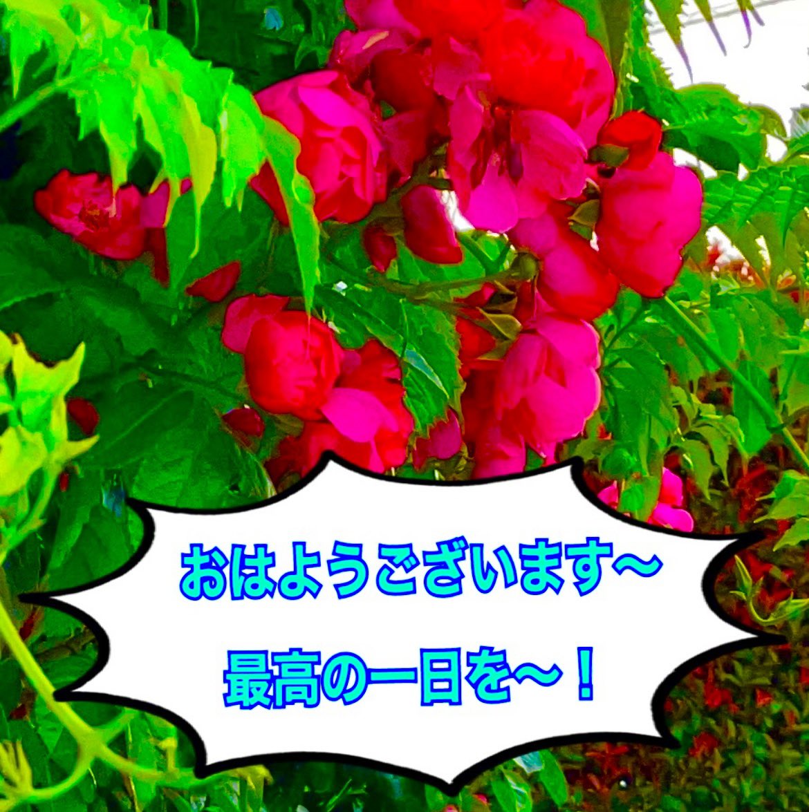 マジシャンZION(ザイオン) tweet media