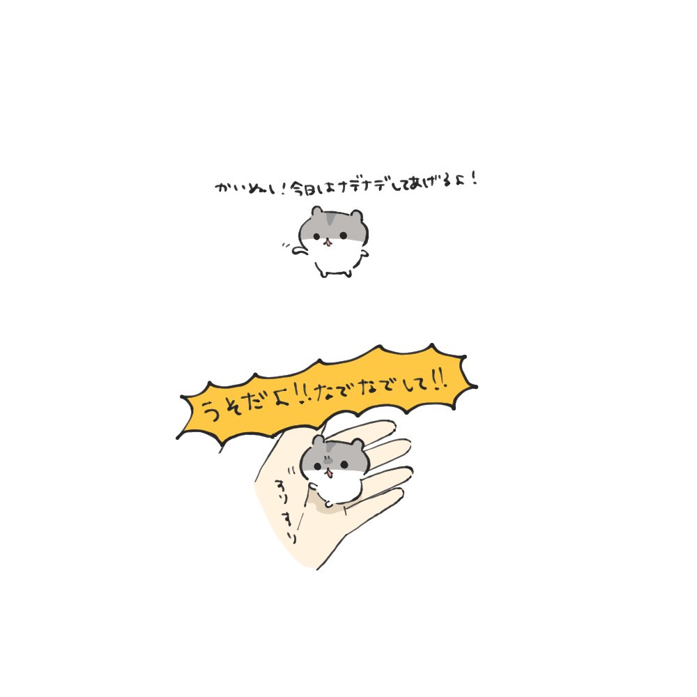 ｼｮｯﾄ‼︎ tweet media