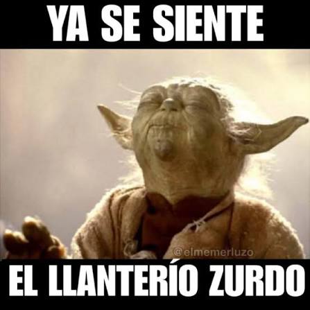 findthetrue tweet media