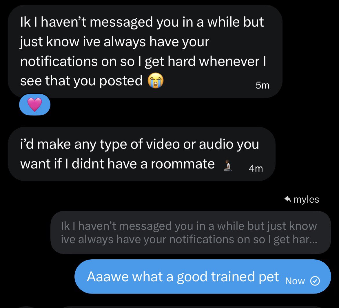 .* ✭ginge ✭ *. tweet media