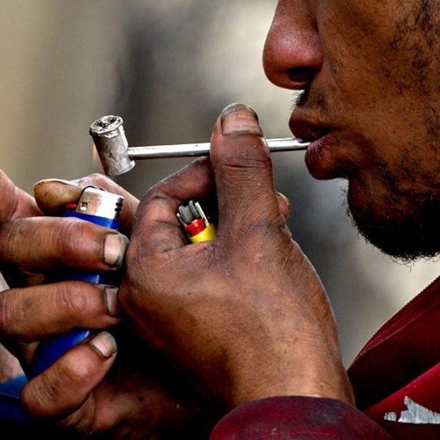 Fernanda Salles tweet media