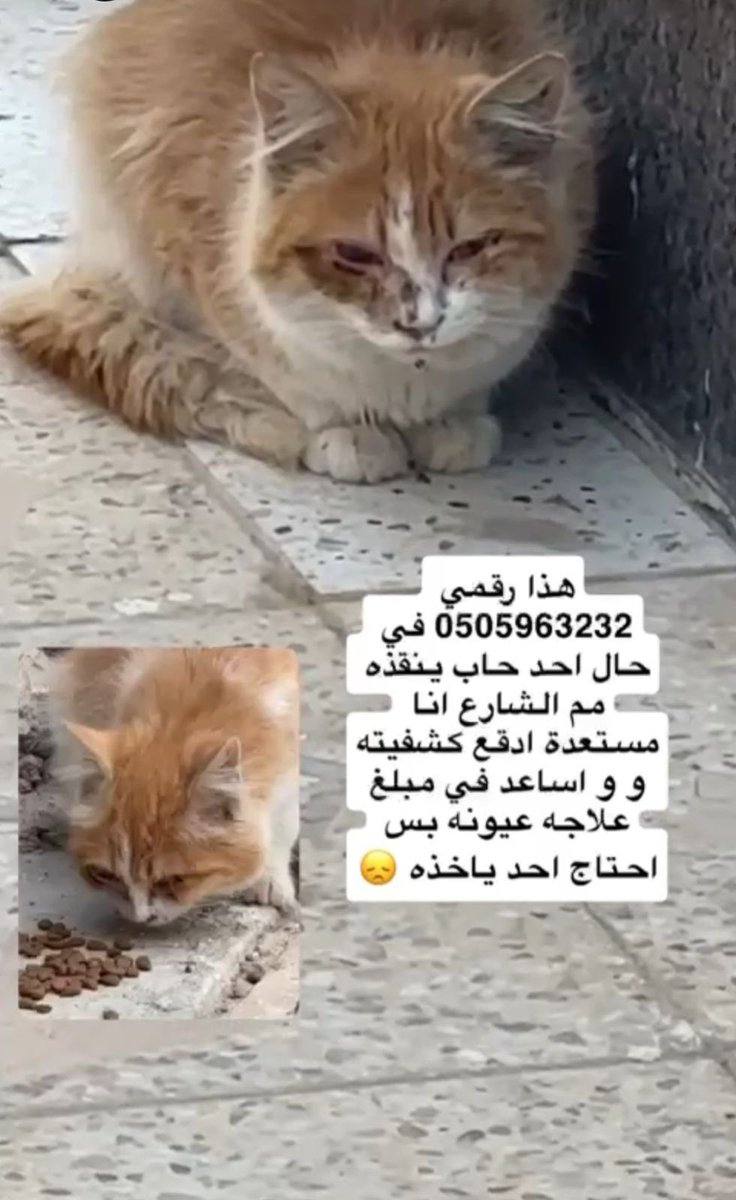 Engmanalrescuer tweet media