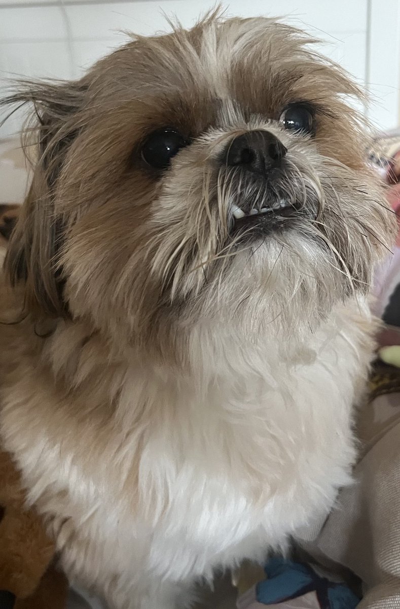 🩷 sabi 🩷 tweet media