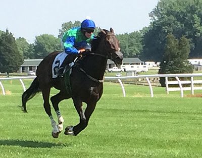 Scott Wykoff tweet media