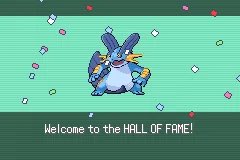 Swampbert tweet media