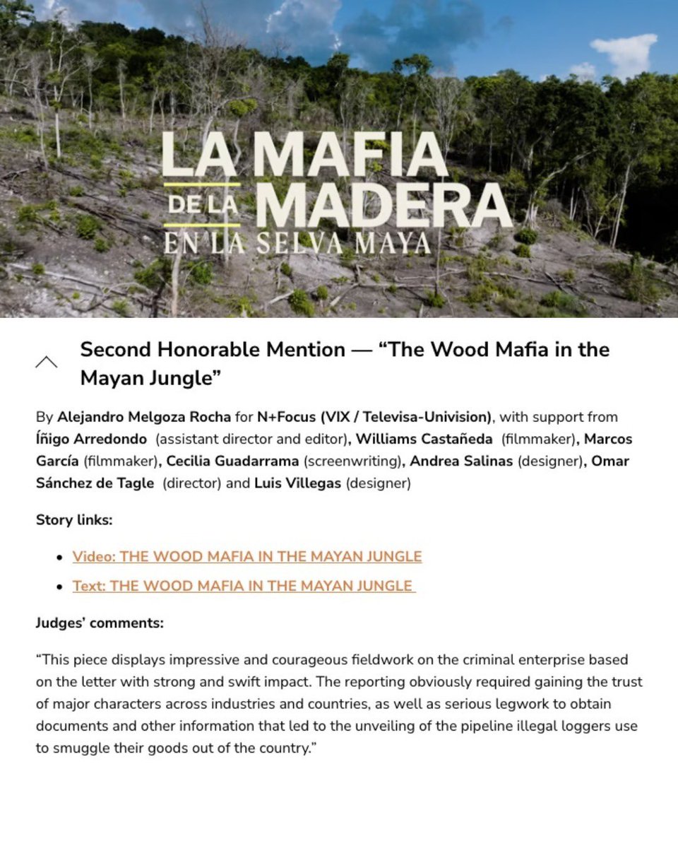 Quinto Elemento Lab tweet media