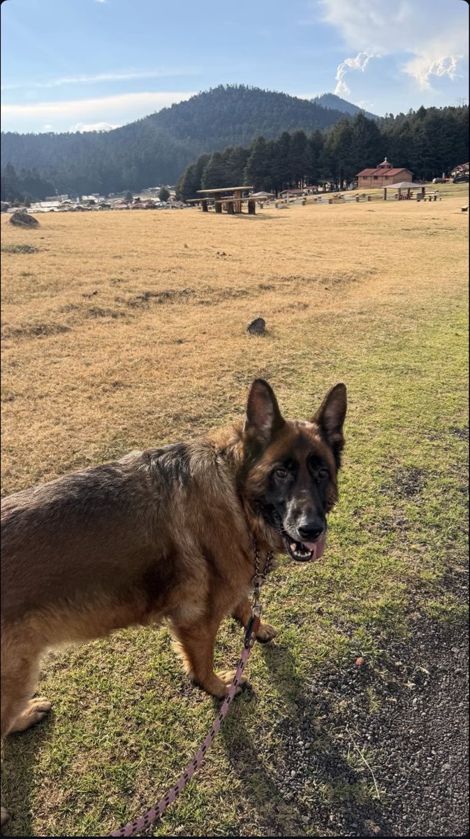 Gala Montes Unity tweet media