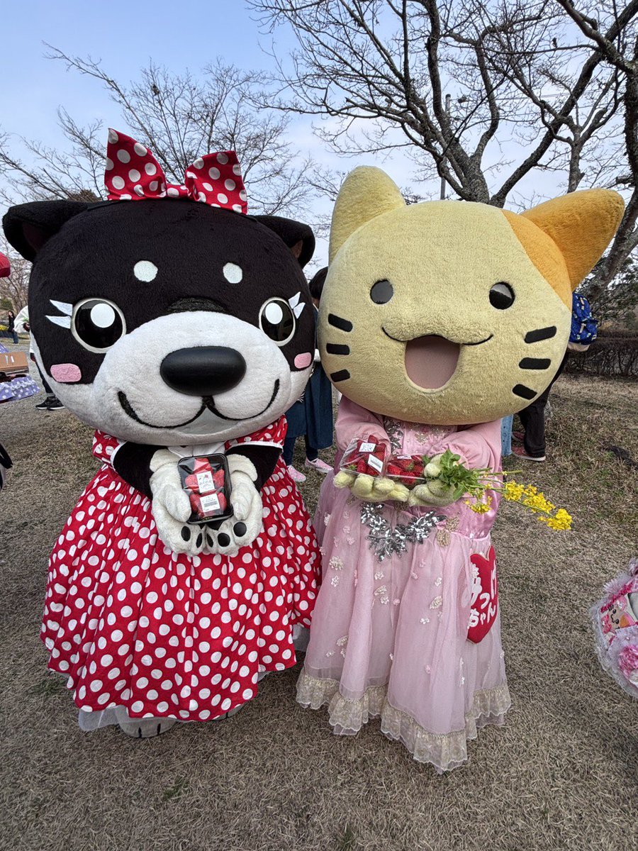 みっけちゃん™️【公式】💙💛🤟🏳️‍🌈大阪府枚方市PR大使 tweet media