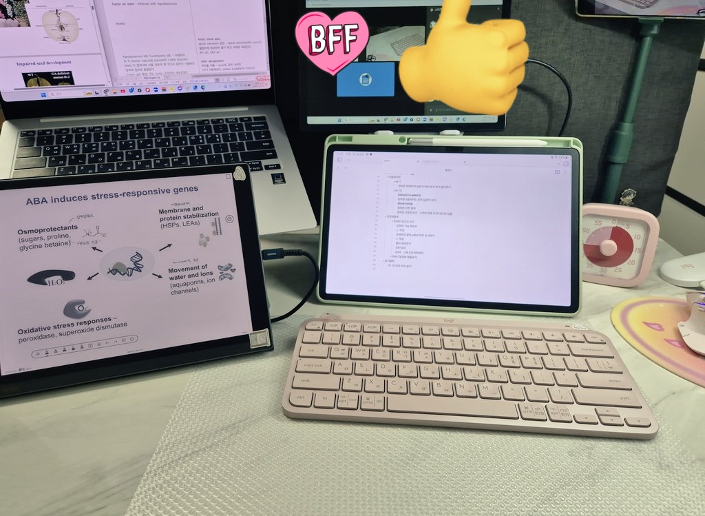 유다 tweet media