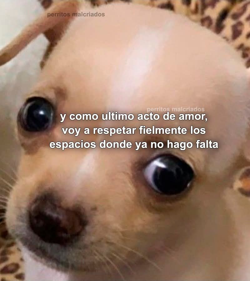 Ojos color sol (@ojoscol0rsol) on Twitter photo 