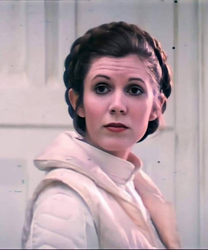 Paul A Fallon tweet media