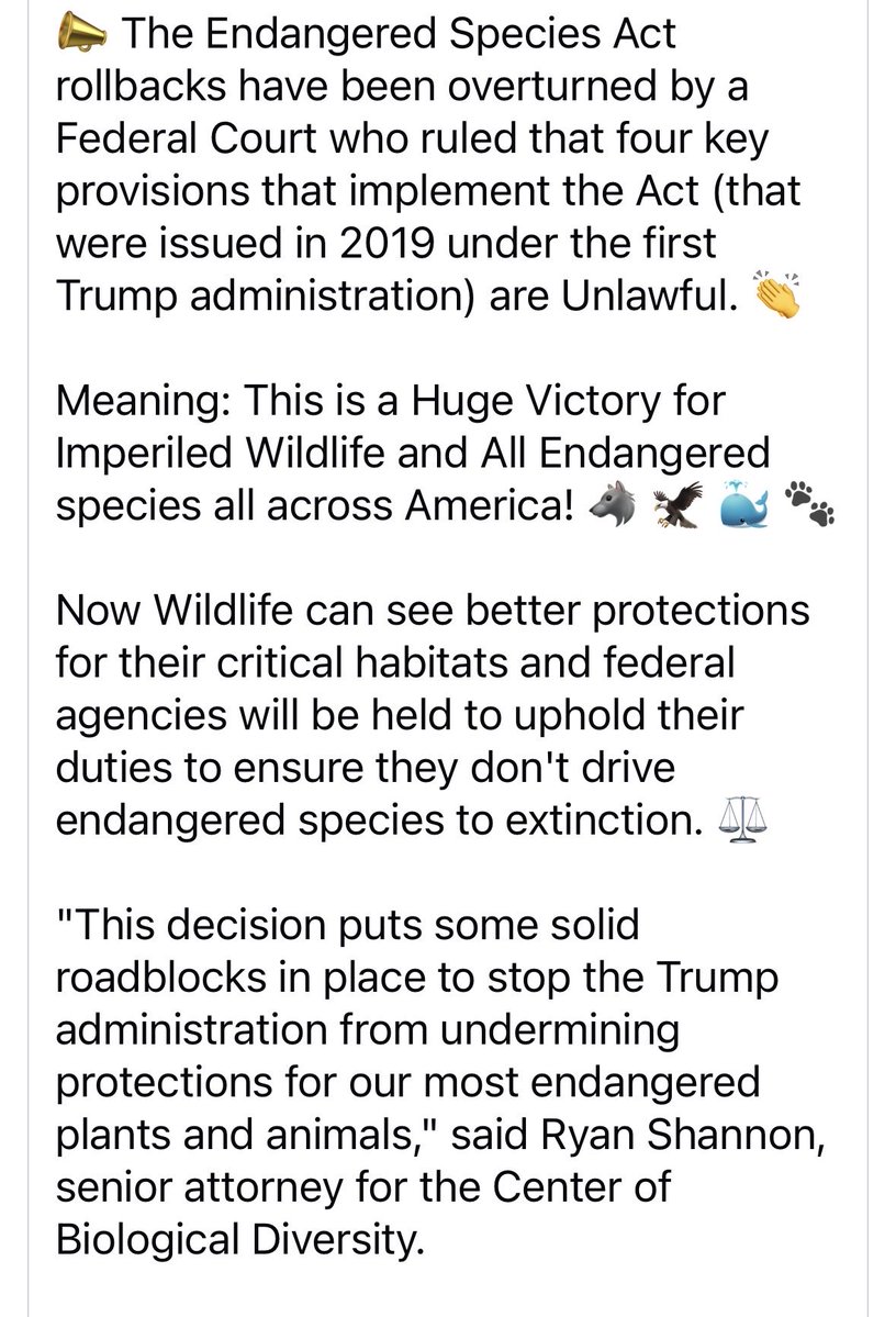 Pixie Dust tweet media