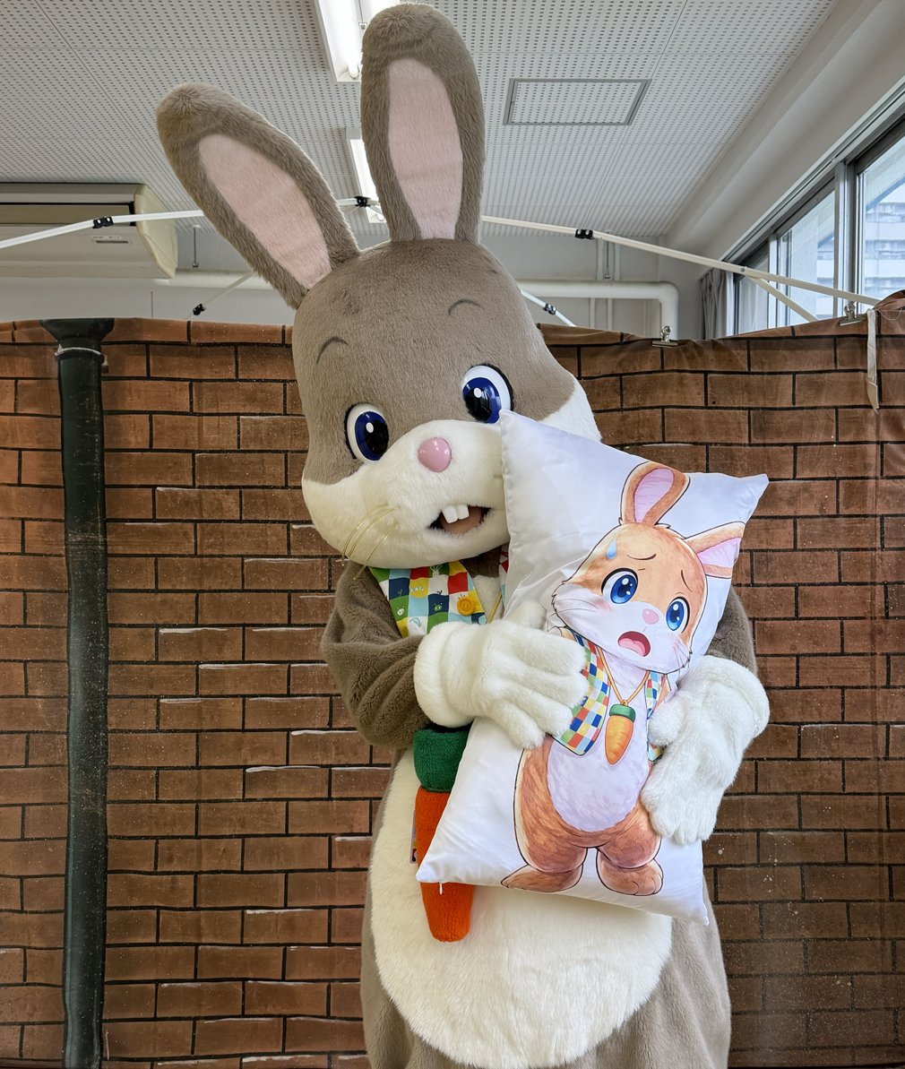 どんちゃん tweet media