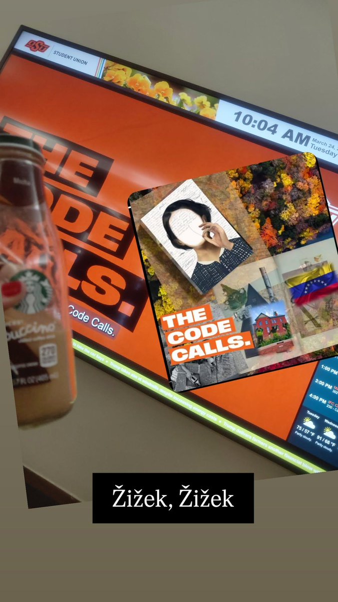 claudia cavallin tweet media