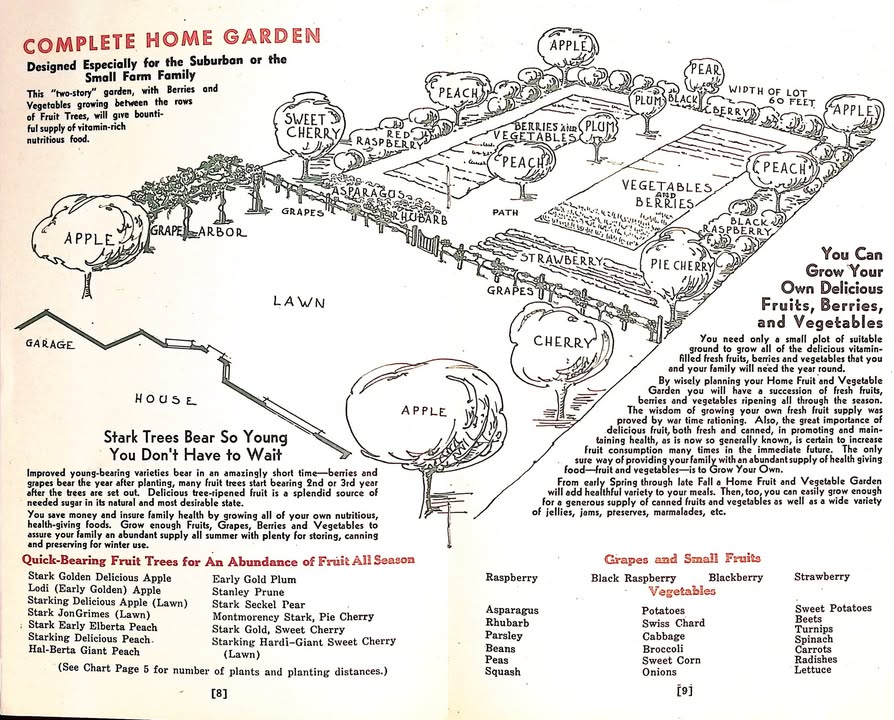 Stark Bro's tweet media