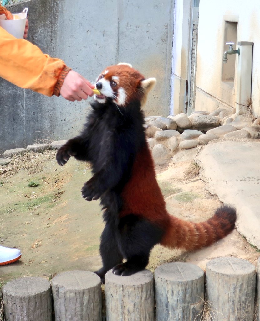 ひろみん tweet media