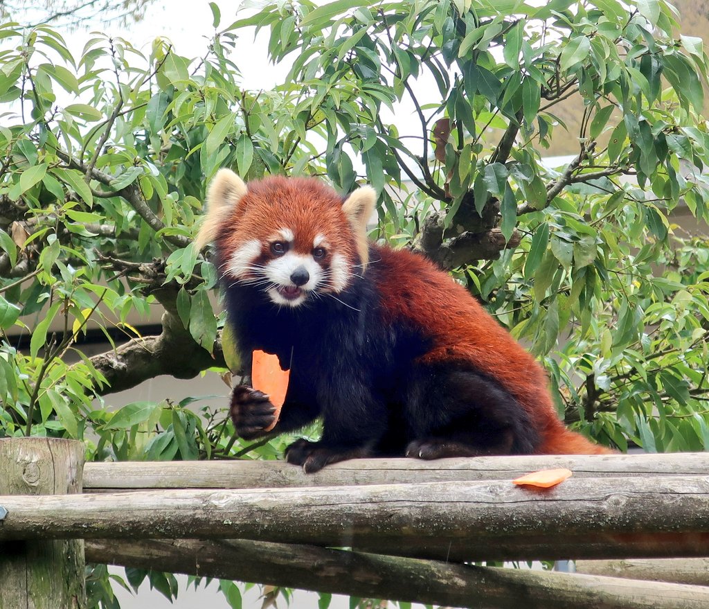 ひろみん tweet media